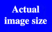 show actual size